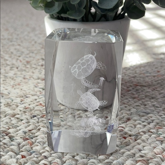 Other - Turtles glass laser sculpture